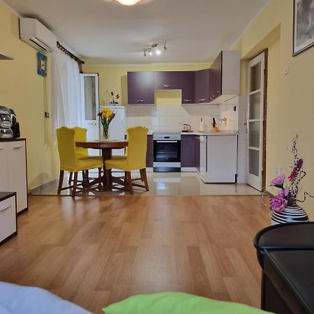 Apartment Sanja Pazin Zewnętrze zdjęcie